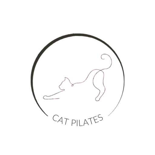 cat pilates