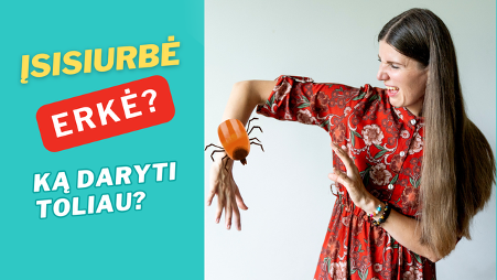 Ką daryti įsisiubus erkei?