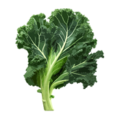 Avatar for Snieguolė