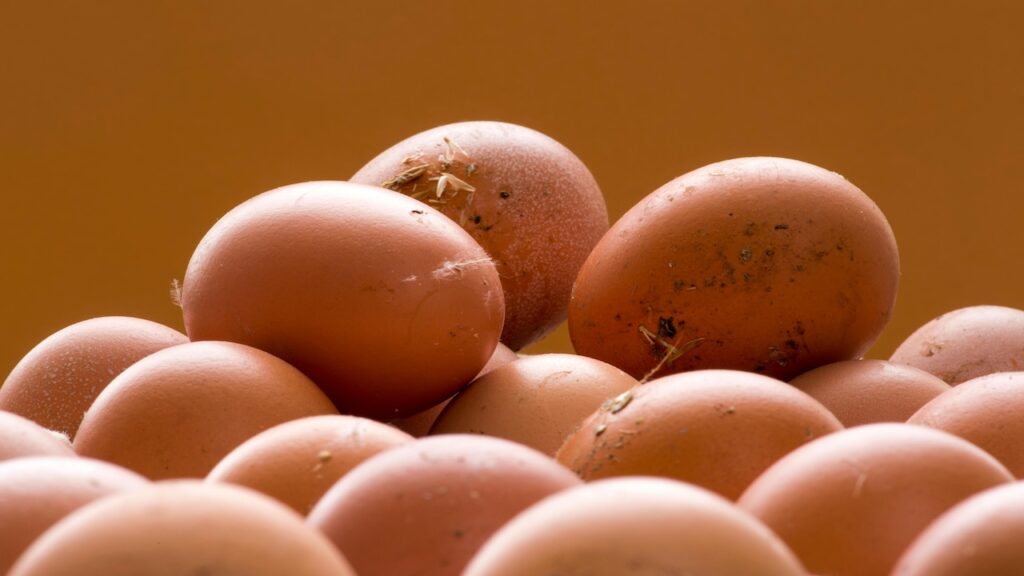 Kaimiški naminiai kiaušiniai